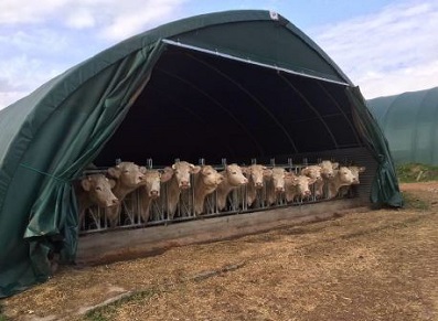 abri pro agricole élevage