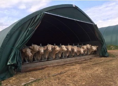 un tunnel d’élevage agricole