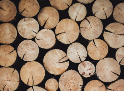 Quelle essence de bois pour sa terrasse ?