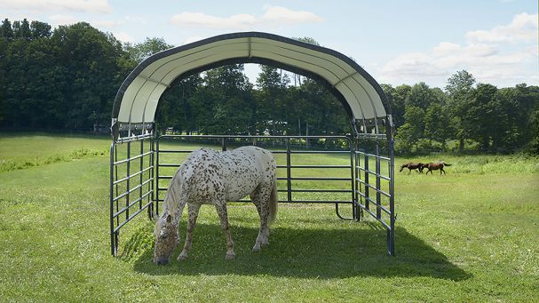 prix réduit pour ce tunnel chevaux