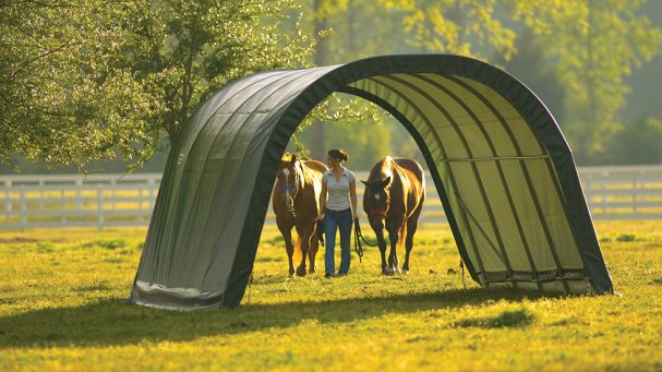 tunnel d'élevage mobile pour les chevaux