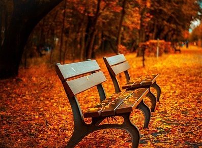 cabanon rangement à l'automne