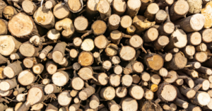 bois de chauffage et réglementation : ce qui change pour votre bûcher bois