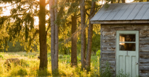 évolution d’un abri de jardin bois