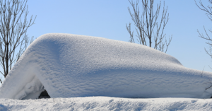 abri de jardin sous la neige