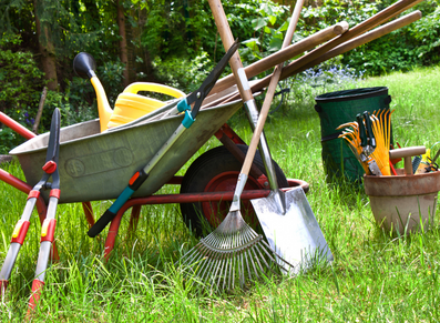 Établi Bricolage Naturel