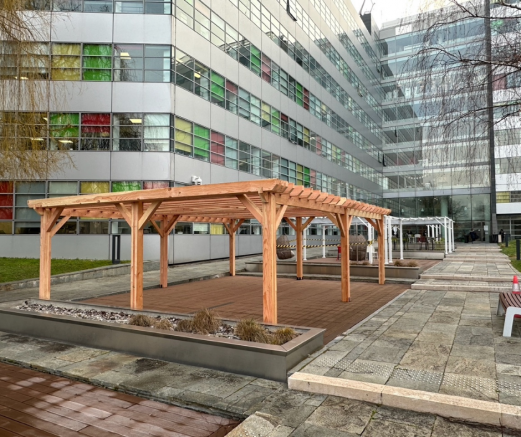 pergola bois sur mesure pour une entreprise