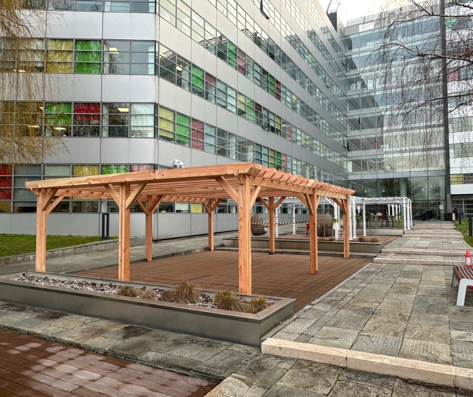 pergola bois traité