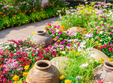 Portes ouvertes de jardins privés pour Jardins & Santé