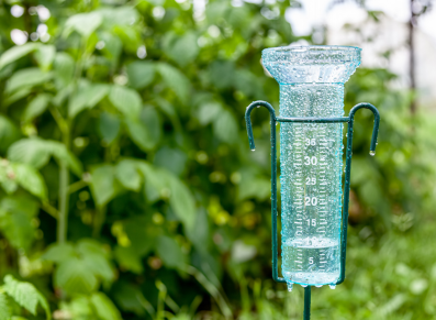 Récupérateur d’eau et abri de jardin, une solution contre la sécheresse ?