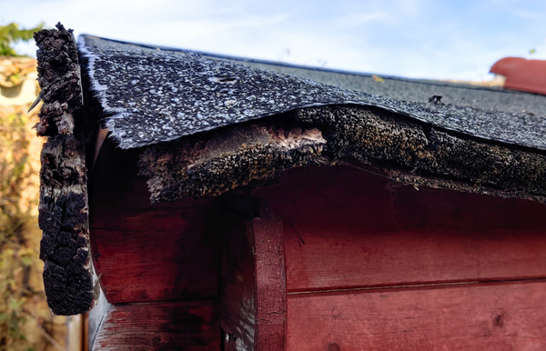 Nos conseils pour réparer et surveiller votre toit en feutre bitumé !