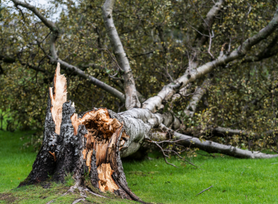 Kit anti tempête : ils l’ont testé, qu’en ont-il pensé ?