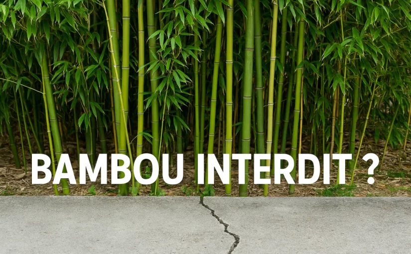 le bambou bientôt interdit en 2025 en France ?