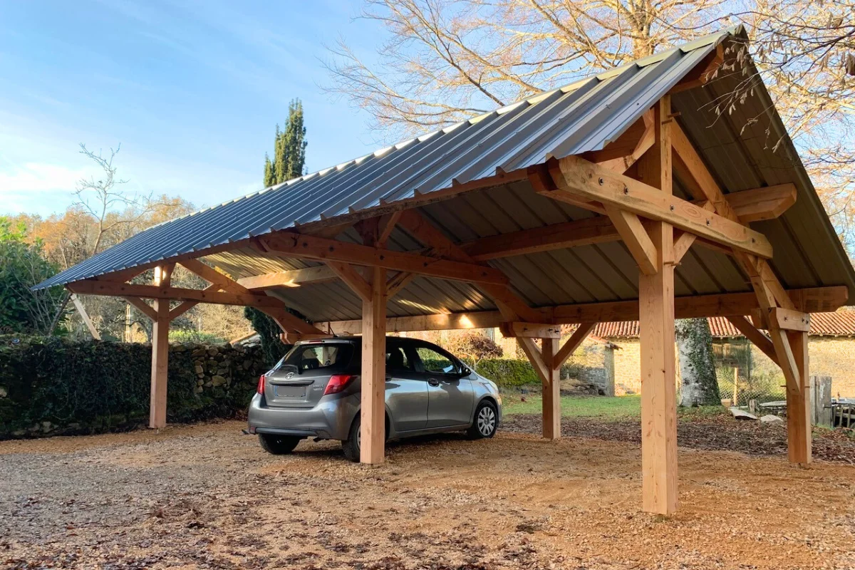 abri double pente en bois traité ou Douglas ?